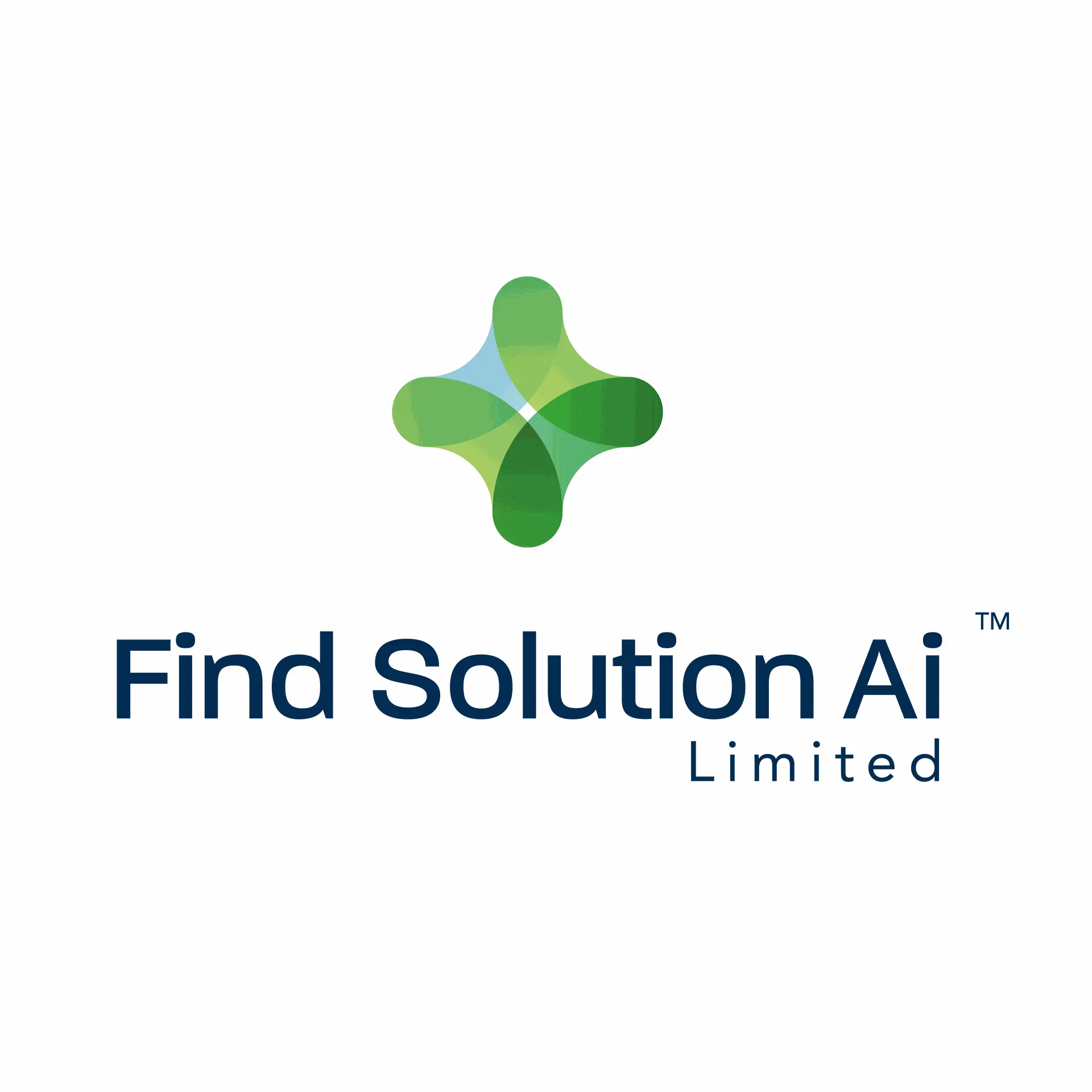 Find Solution AI Limited